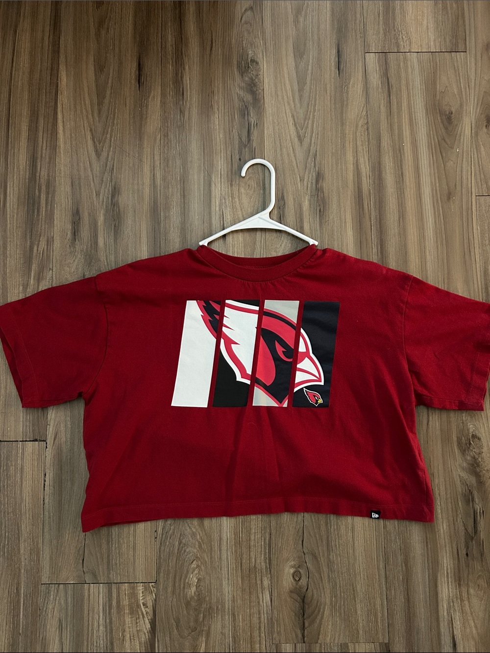 NFL Red Arizona Cardinals Graphic Short Sleeve Tee